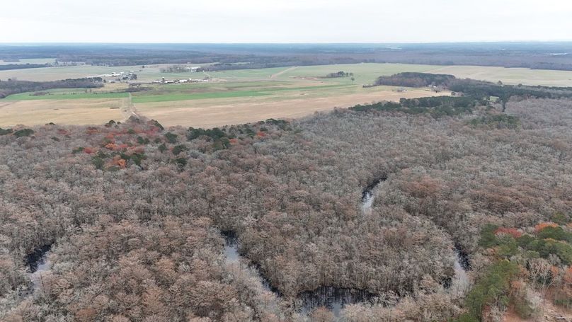 djiI_fly_20251121_094236_0075_1763736116787_photo