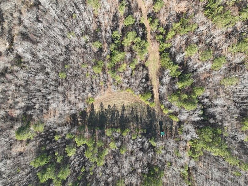DJI_0939
