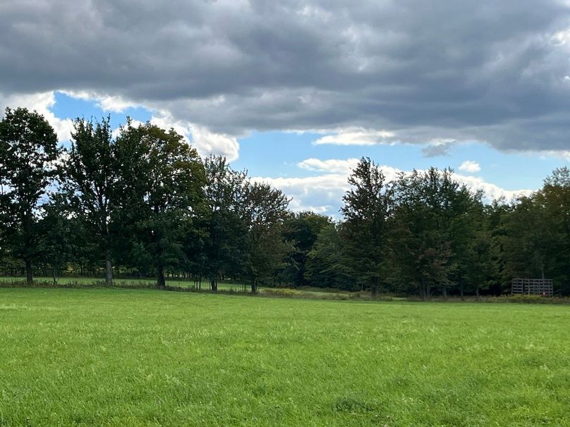 Schuyler_42.08_Austin Photo 10