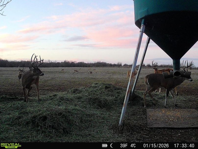 860516064952926-100-3-01162026052732-HD-SYFW3894