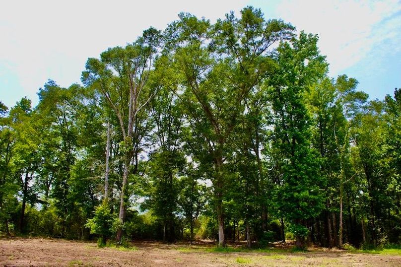 AFD6F50C-4295-4E61-8CE0-B43CBE4212C7_1_105_c