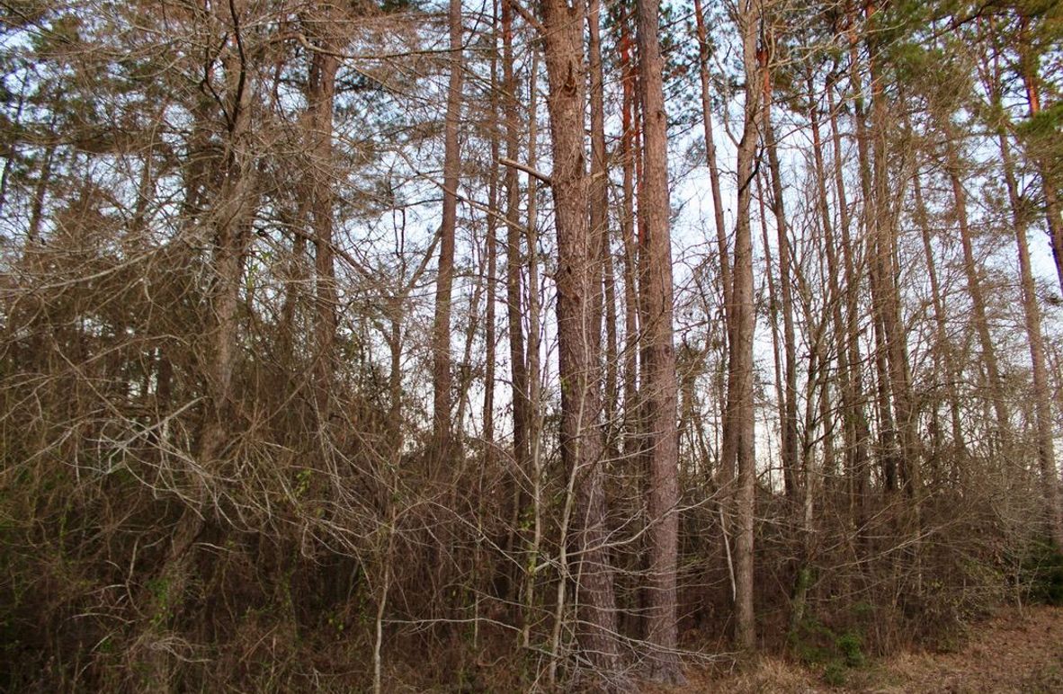 15A22C21-111F-4CC4-954B-58D01D2836BD_1_105_c