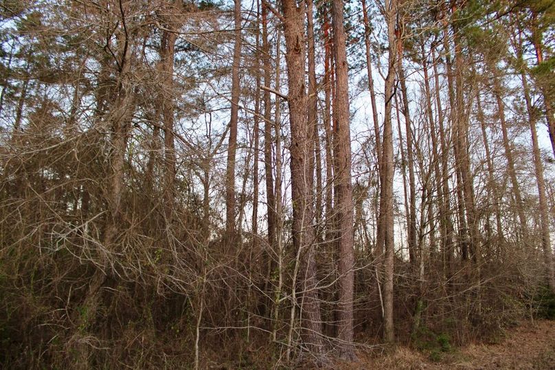 15A22C21-111F-4CC4-954B-58D01D2836BD_1_105_c