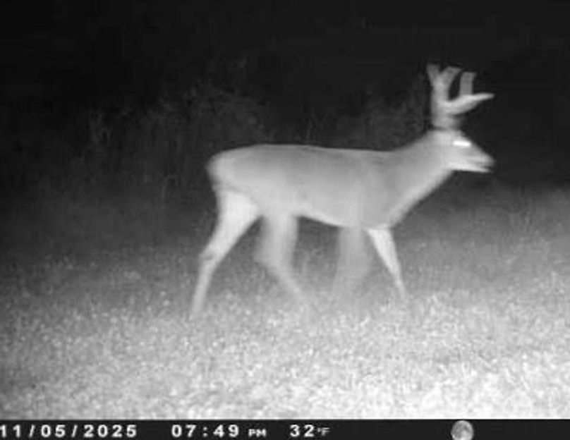 EB0B9851-1CF1-408A-A38F-D53477D45283_4_5005_c