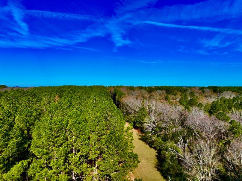 FA786B09-51B6-4A7C-BF22-3F3062DEB637_1_201_a-2