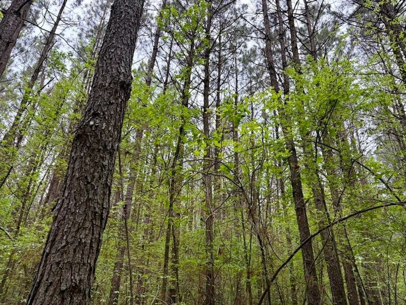 07CF9B21-48F6-4021-8616-FA0BFB355F31_1_105_c