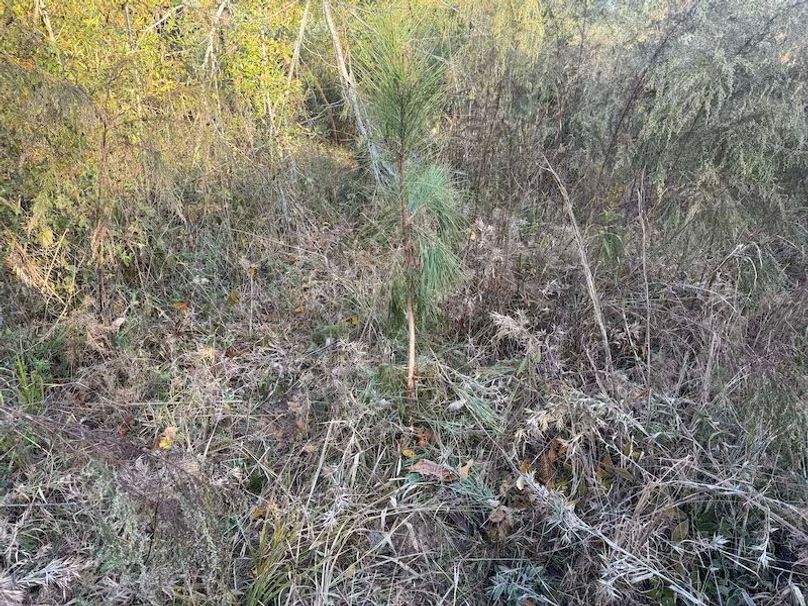 Jeff 11720251111_0195