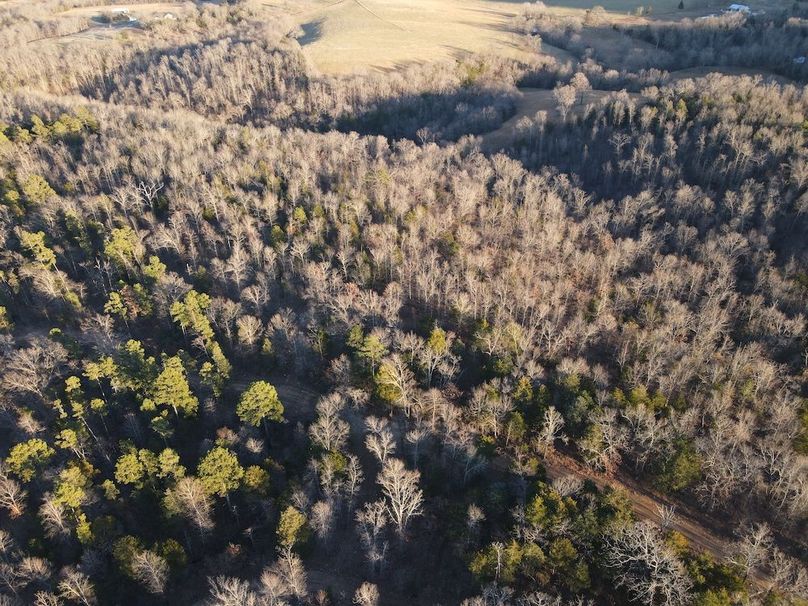 DJI_0330