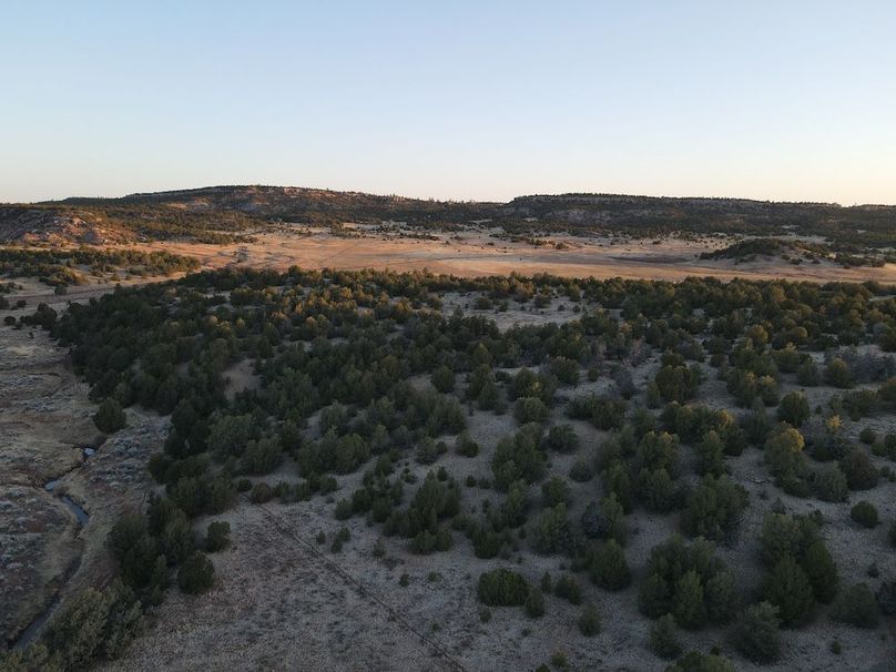 51_Pratt Sunrise Habitat