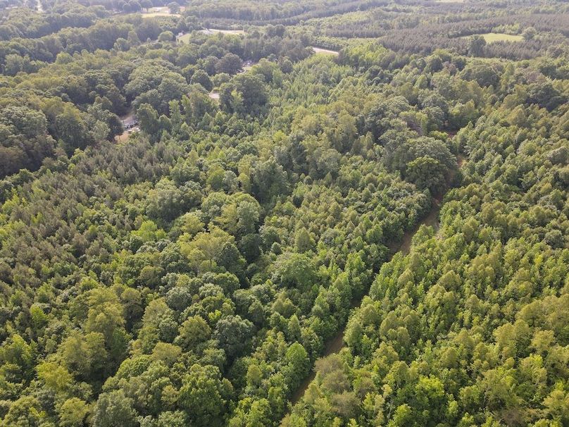 DJI_0837