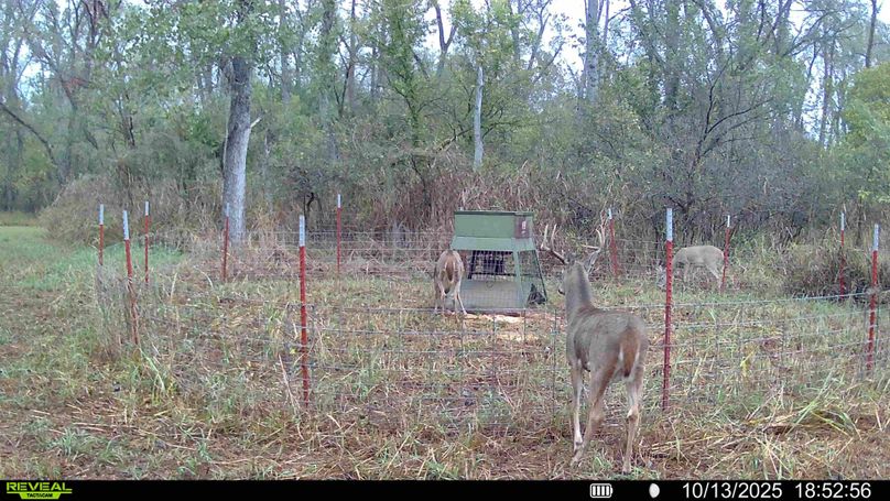 016687000319968-87-3-10132025185720-HD-SYFW00318