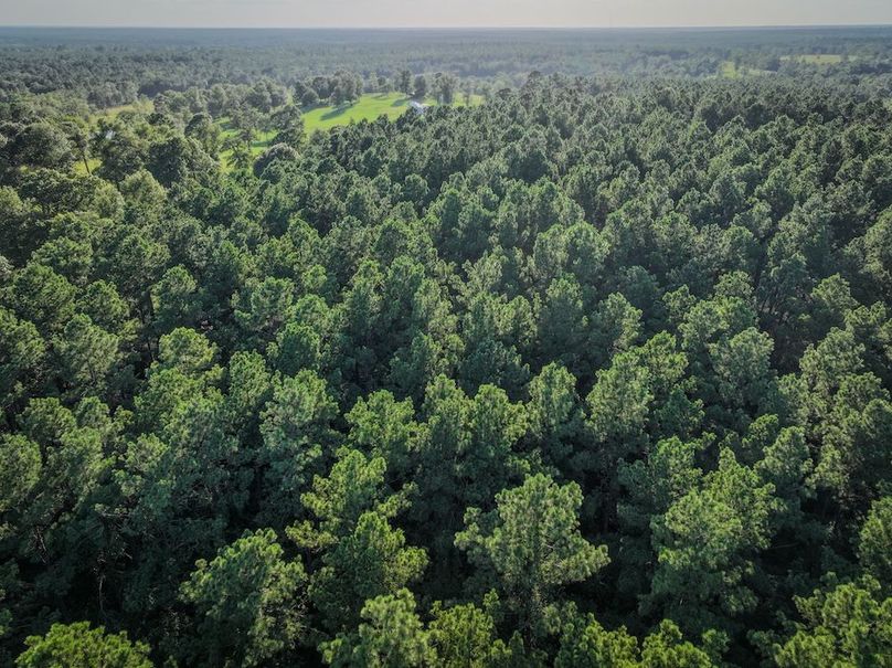 Copy of DJI_20240704185921_0009_D