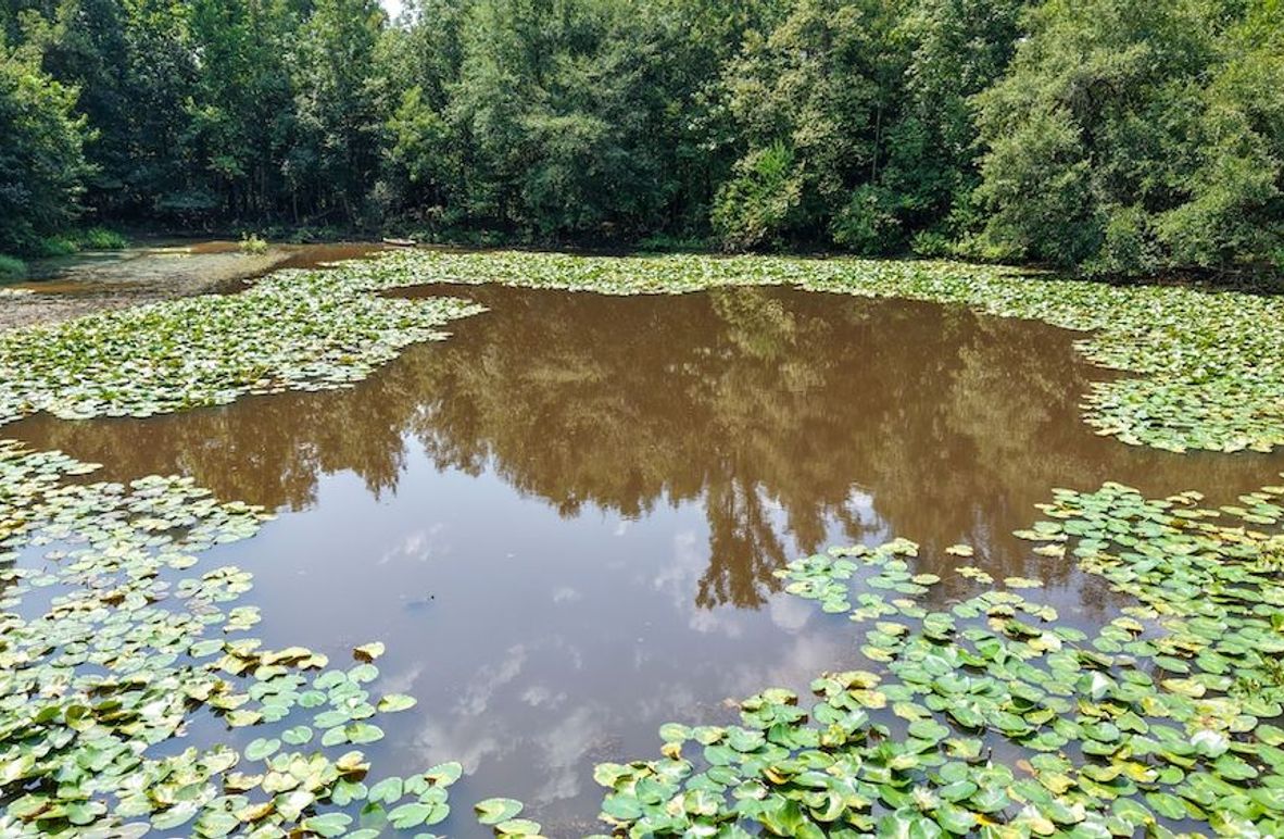 2 Jefferson 117ac - bethard-57