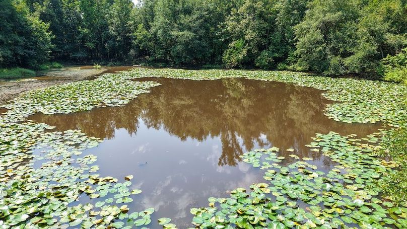 2 Jefferson 117ac - bethard-57