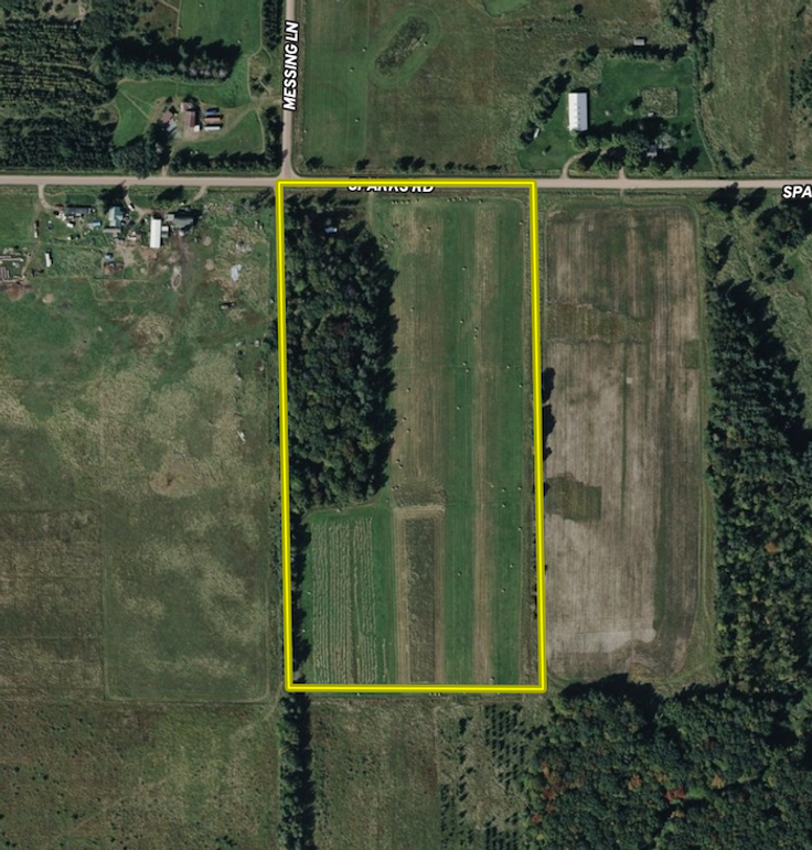 Screenshot 2026-02-23 at 10.17.59 AM