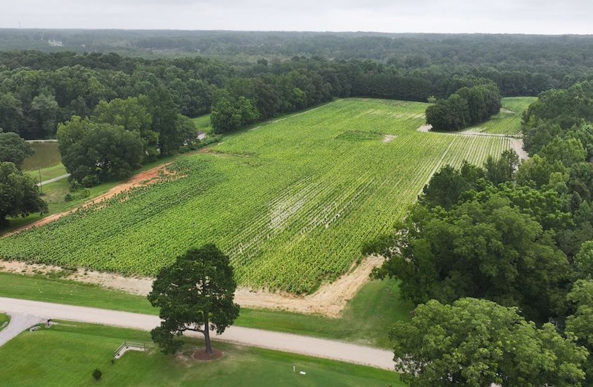 DJI_20250715001722_0148_D