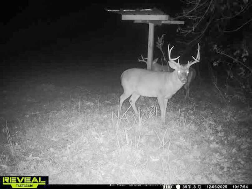 Holmes County - 108 - Rodriguez-7