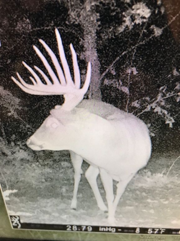 EE62C995-3E82-4EF6-B448-F35565C4D46B