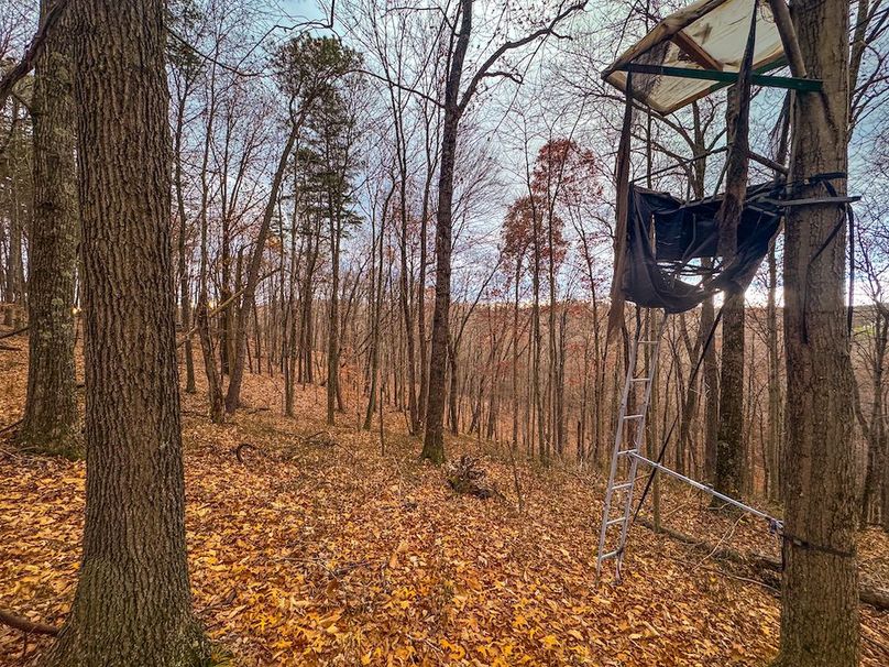 Ritchie, WV 14.081 AC Currey-27