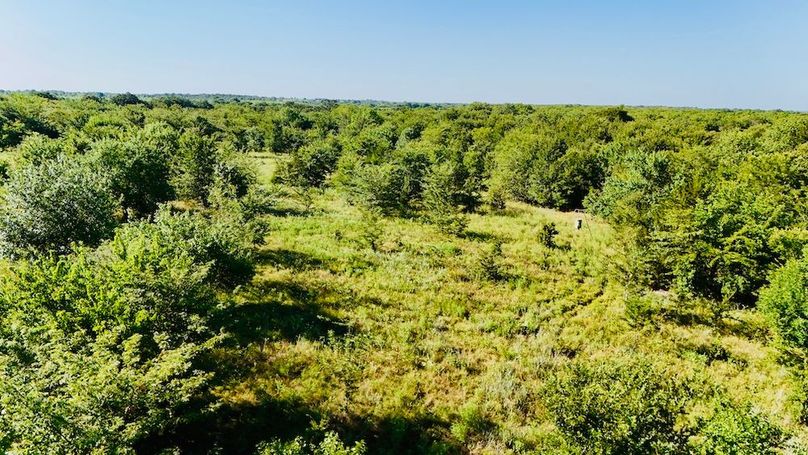 dji_fly_20250728_092026_0048_1753739699570_photo