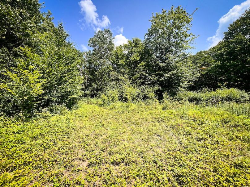 Oswego_100_Roof_Photos_46