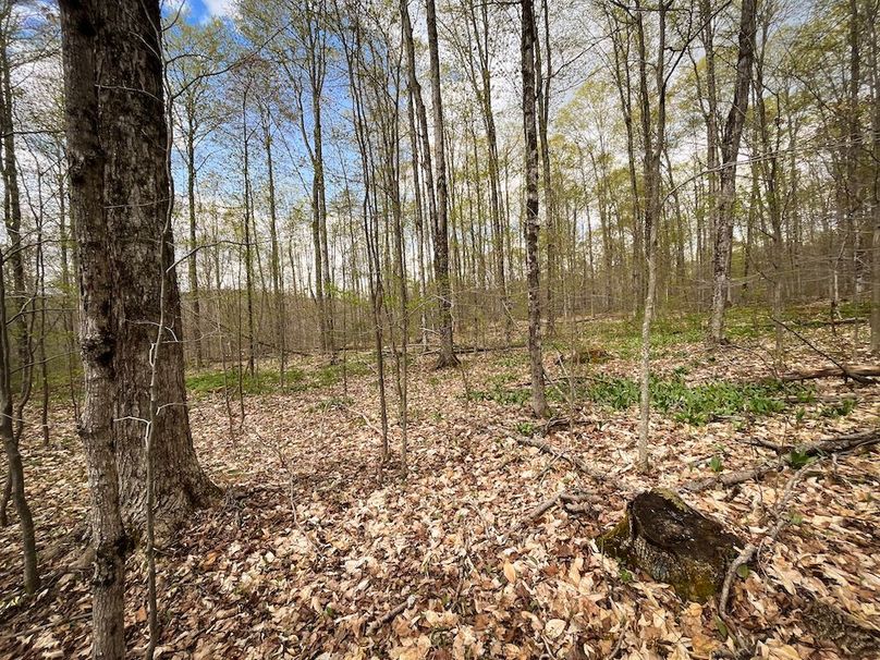 Tioga_76.65_Matyjas_Photos_16