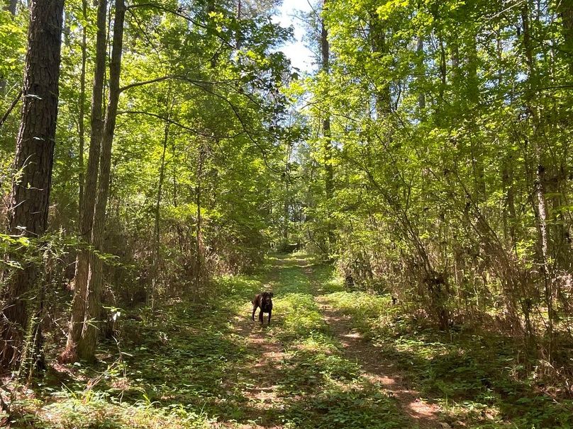 B96EAE9F-2B55-4F1D-BA41-5269B16BE376_1_105_c