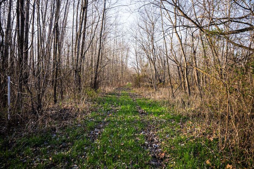 St Clair IL 263.95 Featured_Pro Photo-11