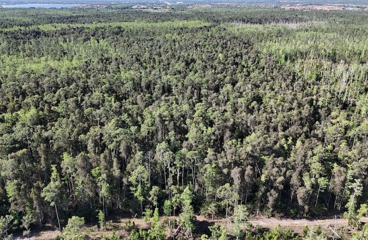 DJI_20260422092313_0495_D