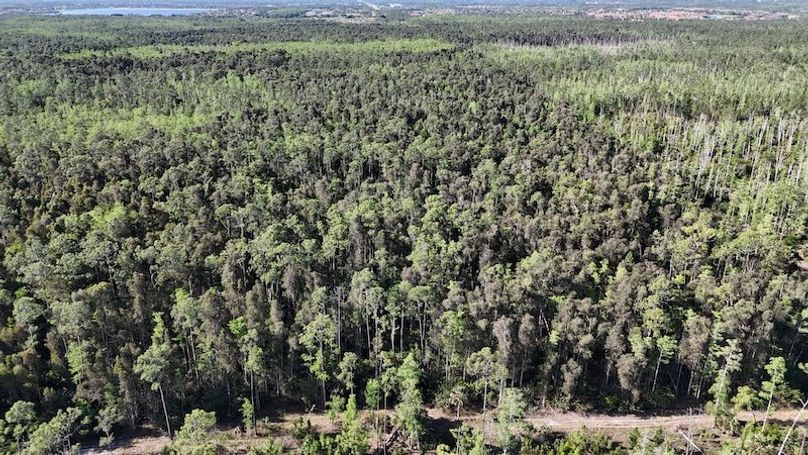 DJI_20260422092313_0495_D