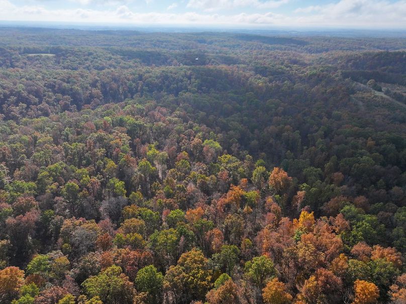 DJI_20251102094013_0807_D