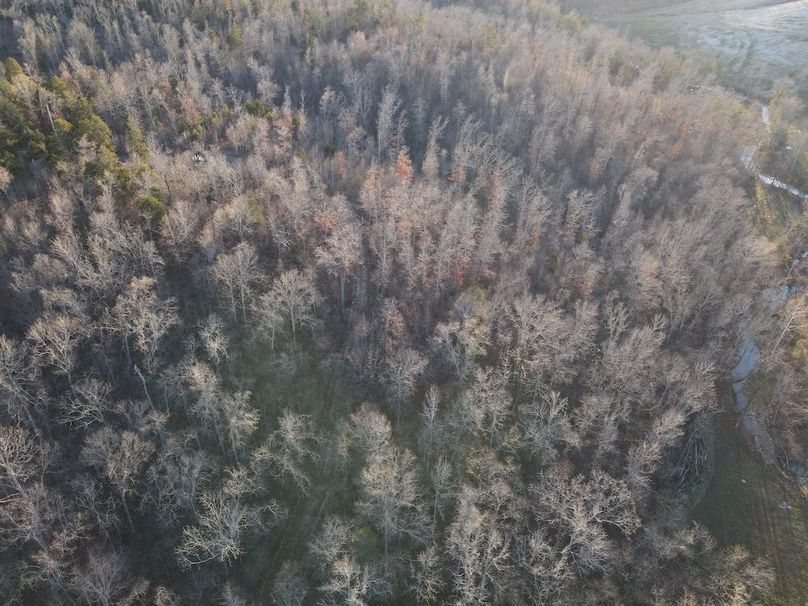 DJI_0308