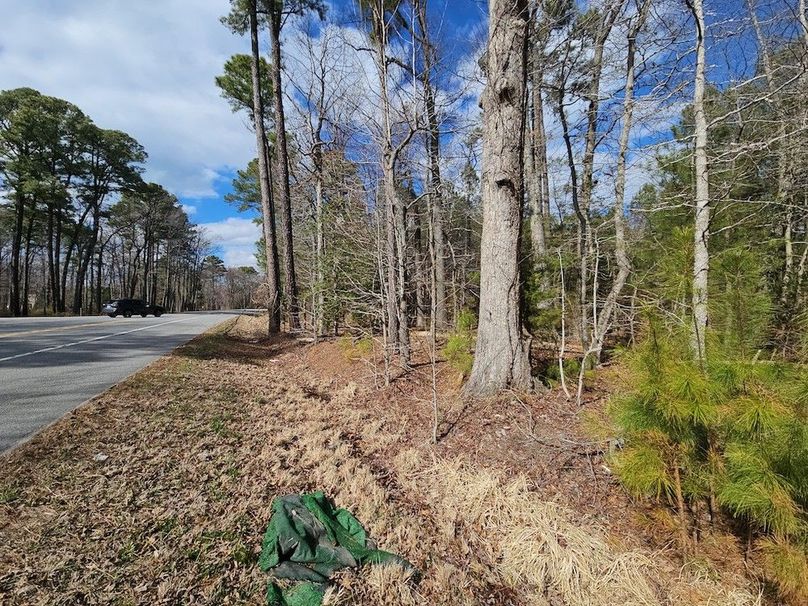 Romancoke_QAnnes_PIC_02