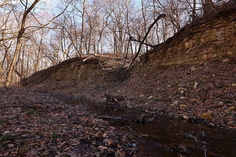 8 Buchanan 252.69 Tract 1