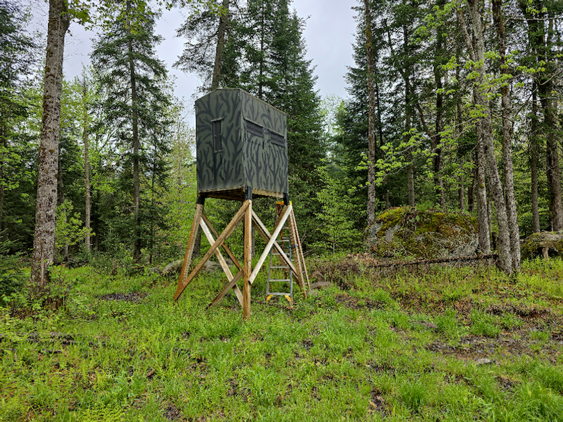 photo_9081c190-685d-4600-bcc1-879d8d45165d