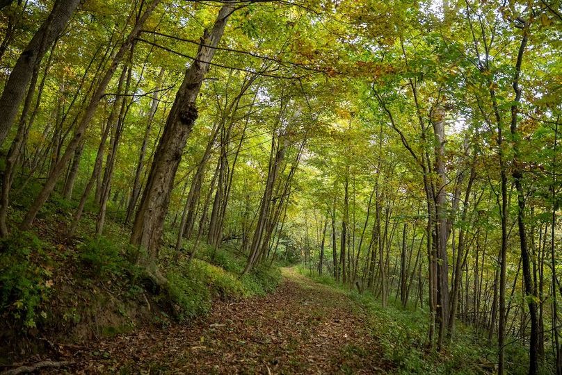 Copy of Winona MN 138 Featured_Pro Photo-22