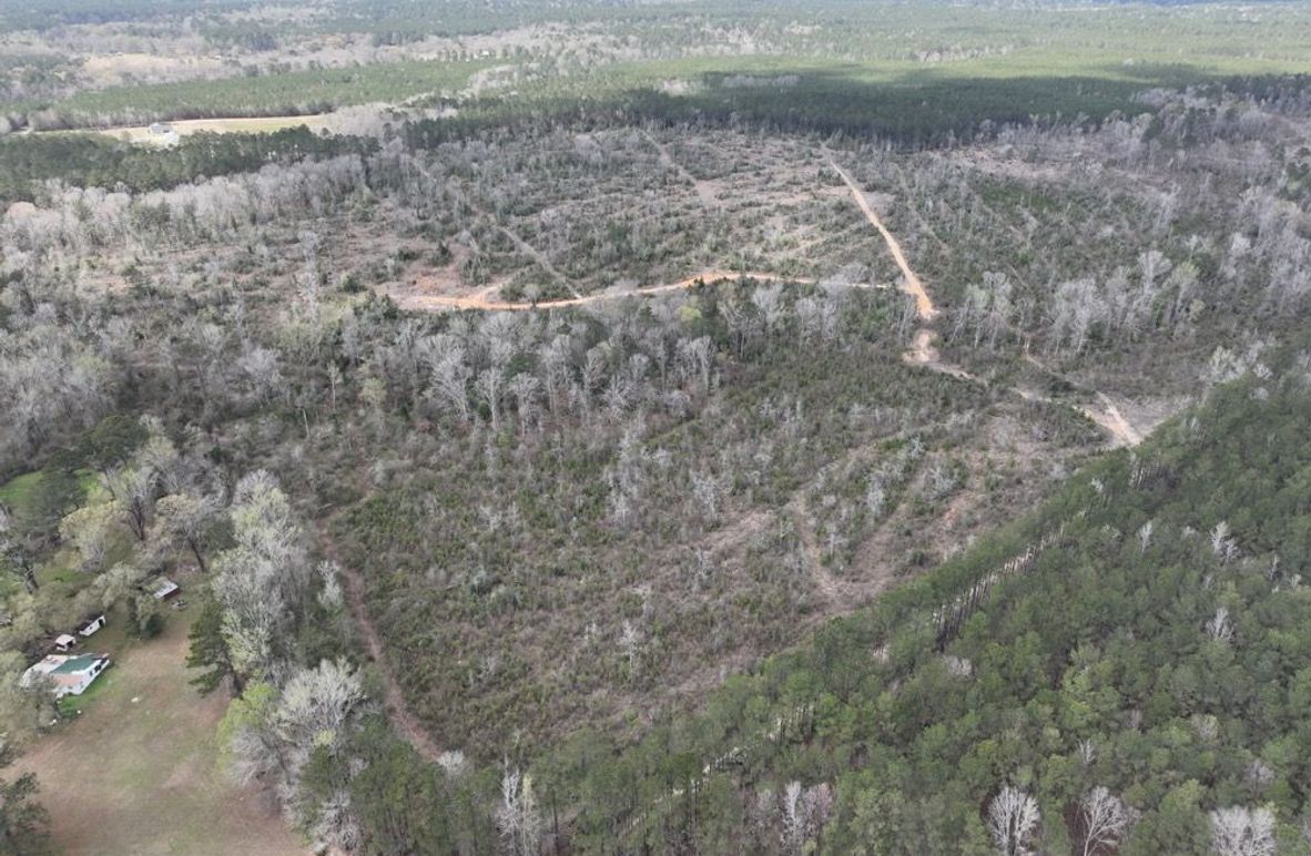 dji_fly_20260303_140006_291_1772637941866_photo