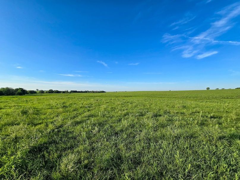 Copy of 20250625_072326