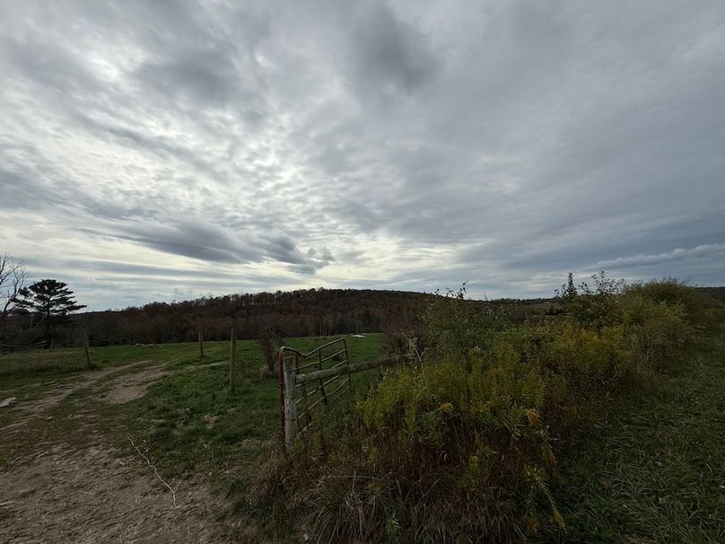 Chemung_184.12_Sterling 48