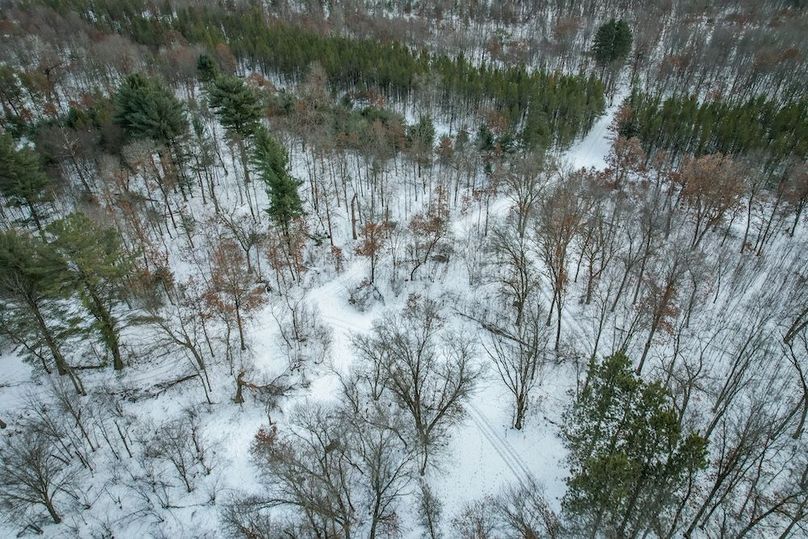 Adams 263.17, Hale -63