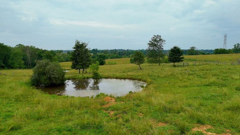 Copy of LARUE 152.00_12_56_09.Still040