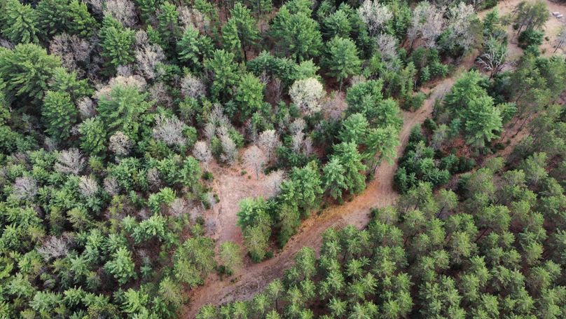 dji_fly_20230509_172010_416_1683724271844_photo_optimized