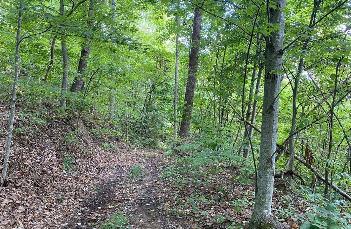 003 one of the trails along an upper bench on the west section part of the property