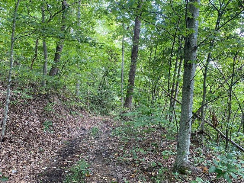 003 one of the trails along an upper bench on the west section part of the property