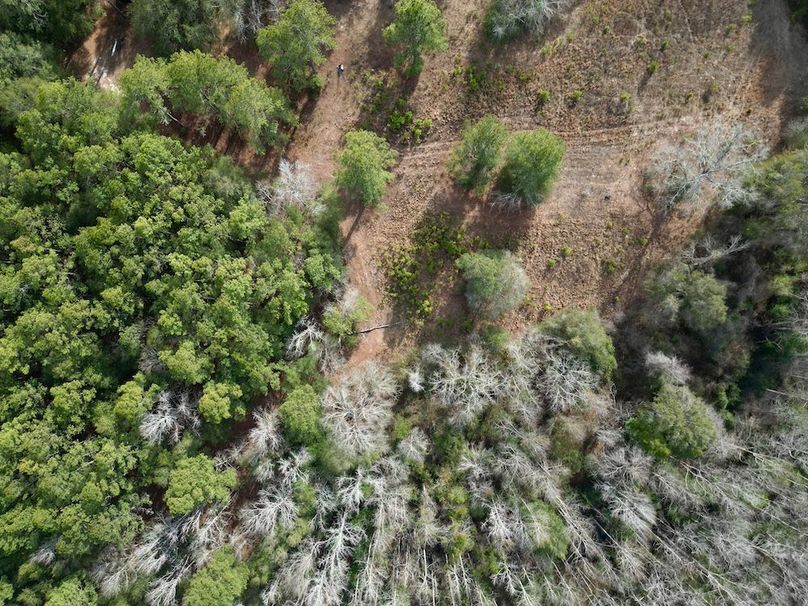 dji_fly_20260203_142710_668_1770146696218_photo