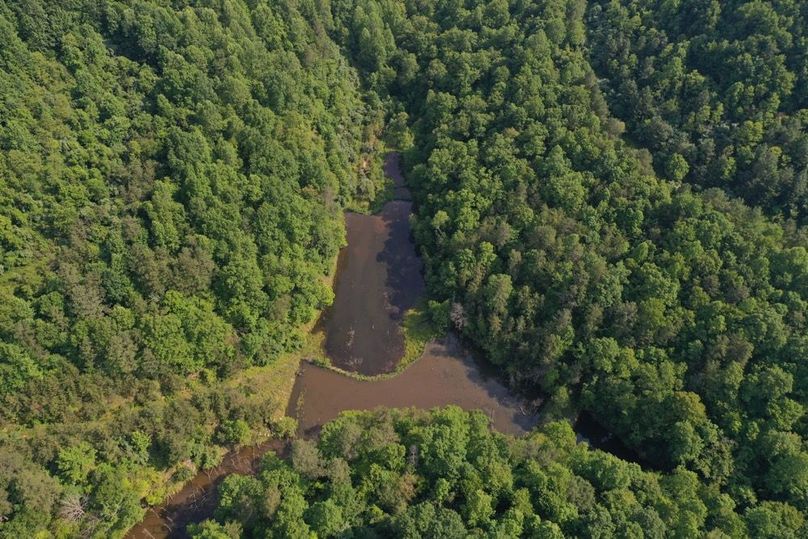 009 aerial drone shot looking straight down on the beaver pond-2