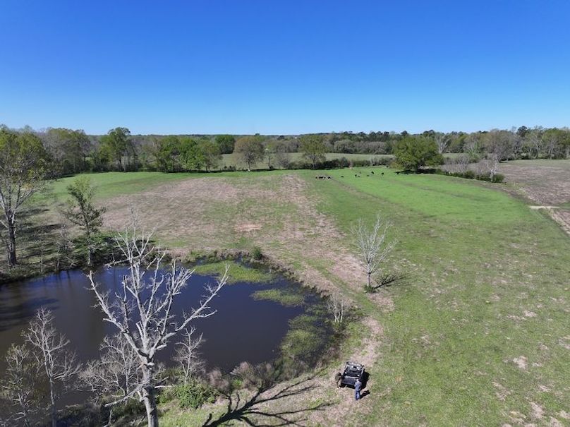 dji_fly_20260317_094602_0422_1773768869325_photo