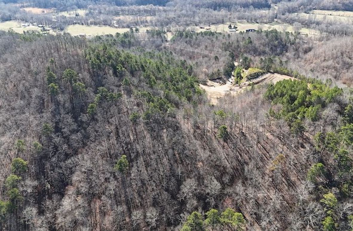 DJI_20260223233643_0374_D