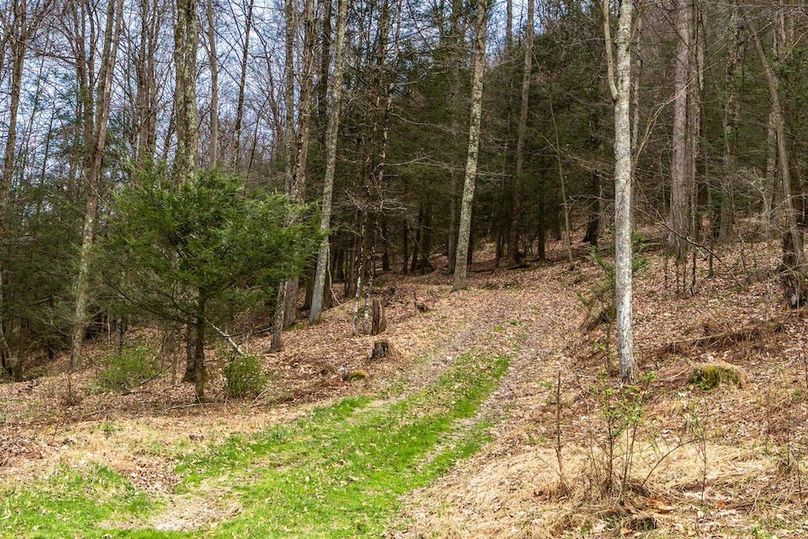 38-web-or-mls-IMG-38