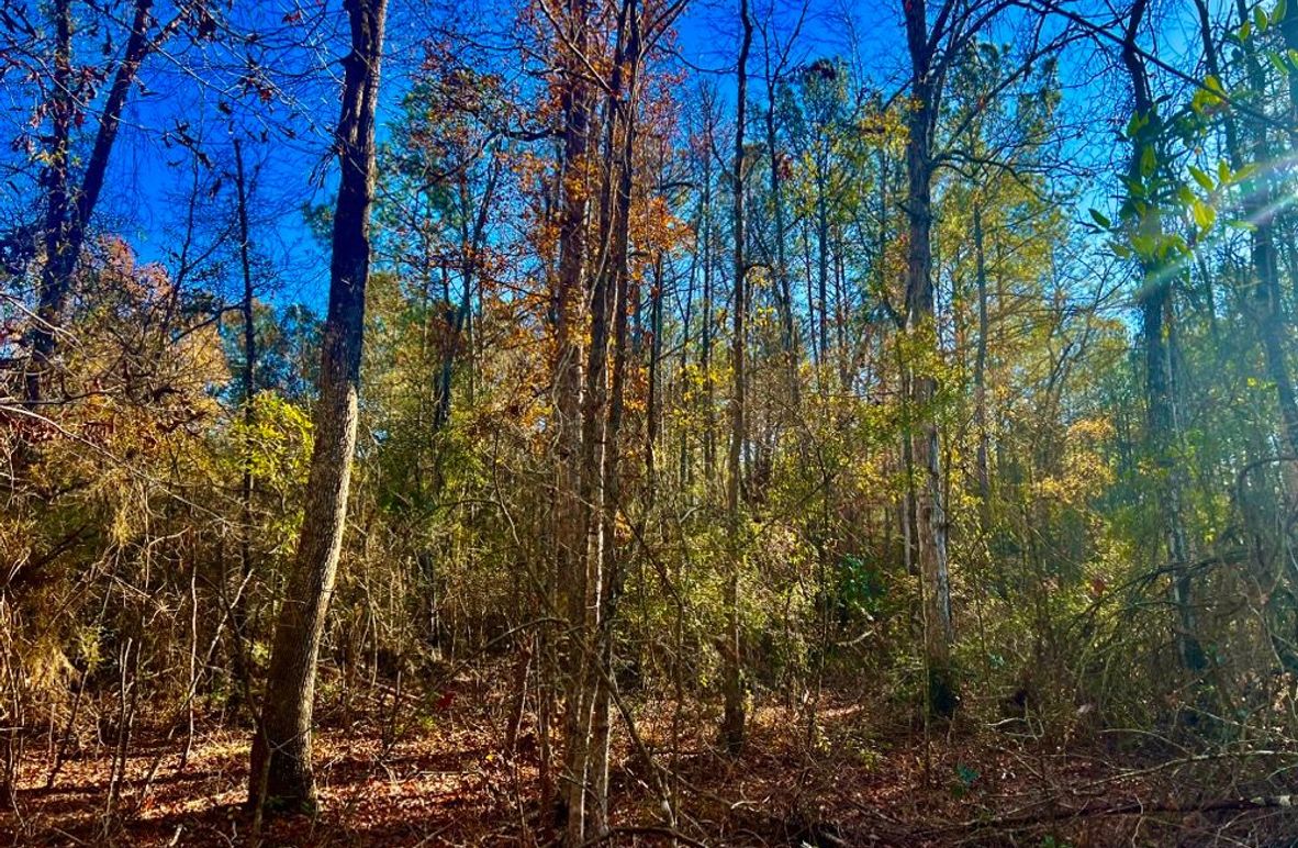 4B55854C-28DB-462E-BD88-32AC9D06A12E_1_201_a